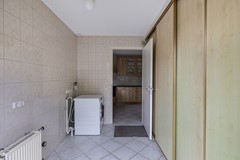 Foto Wespendief 4 Tollebeek 24.jpg